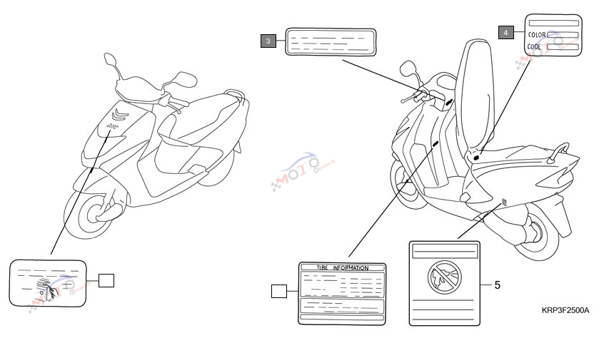 Engine Diagram